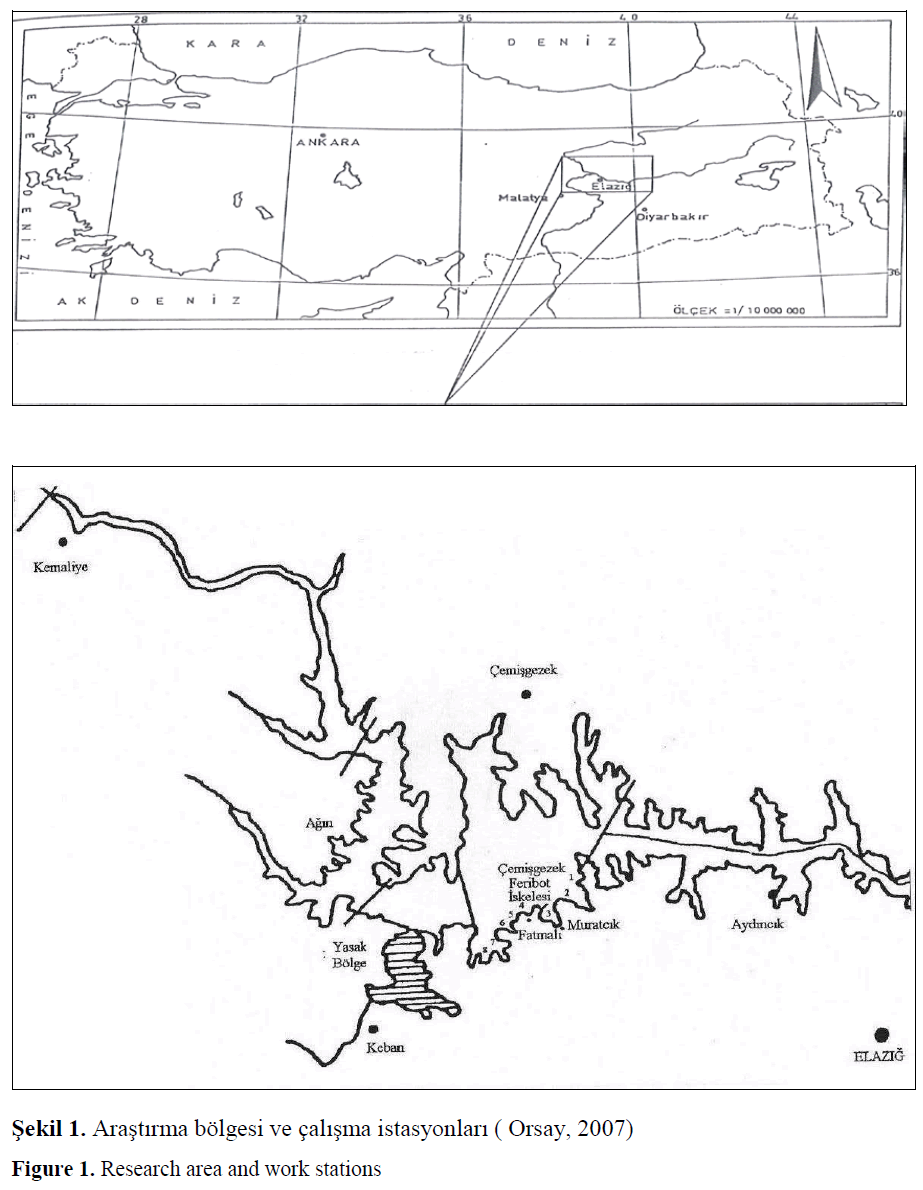 fisheriessciences-area-work-stations