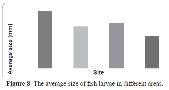 fisheriessciences-average-size