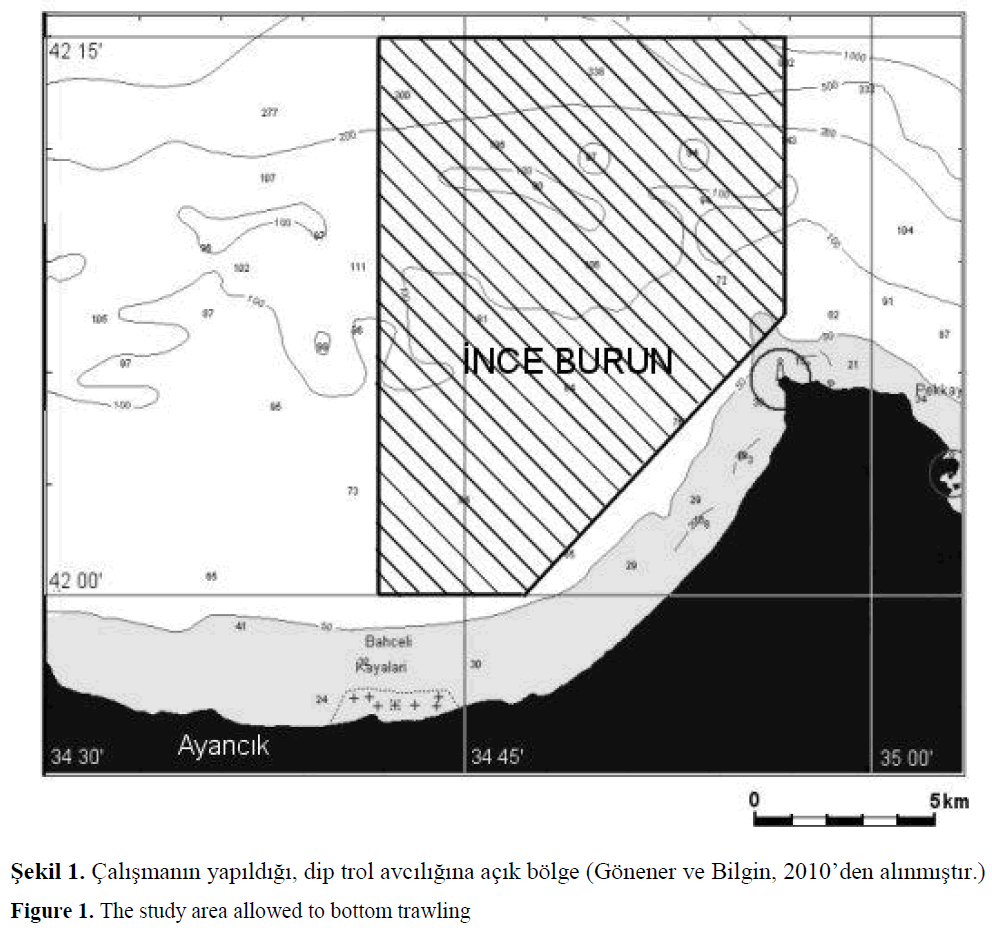 fisheriessciences-bottom-trawling