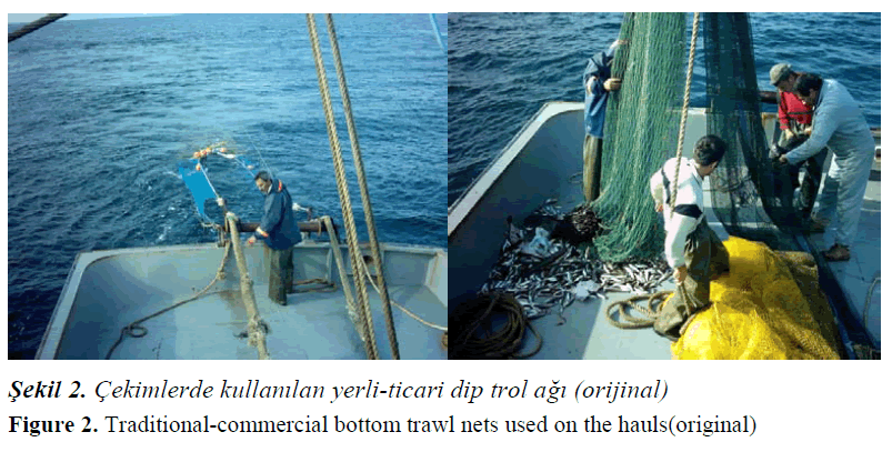 fisheriessciences-commercial-bottom-trawl