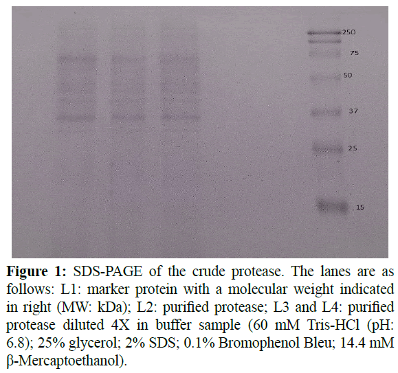 fisheriessciences-crude-protease