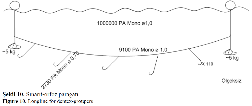 fisheriessciences-dentex-groupers