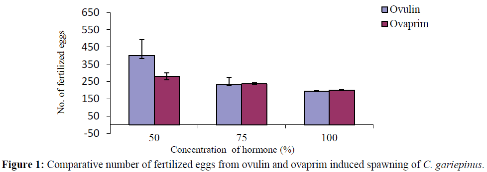 fisheriessciences-fertilized-eggs