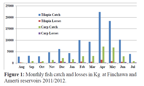 fisheriessciences-fish-catch