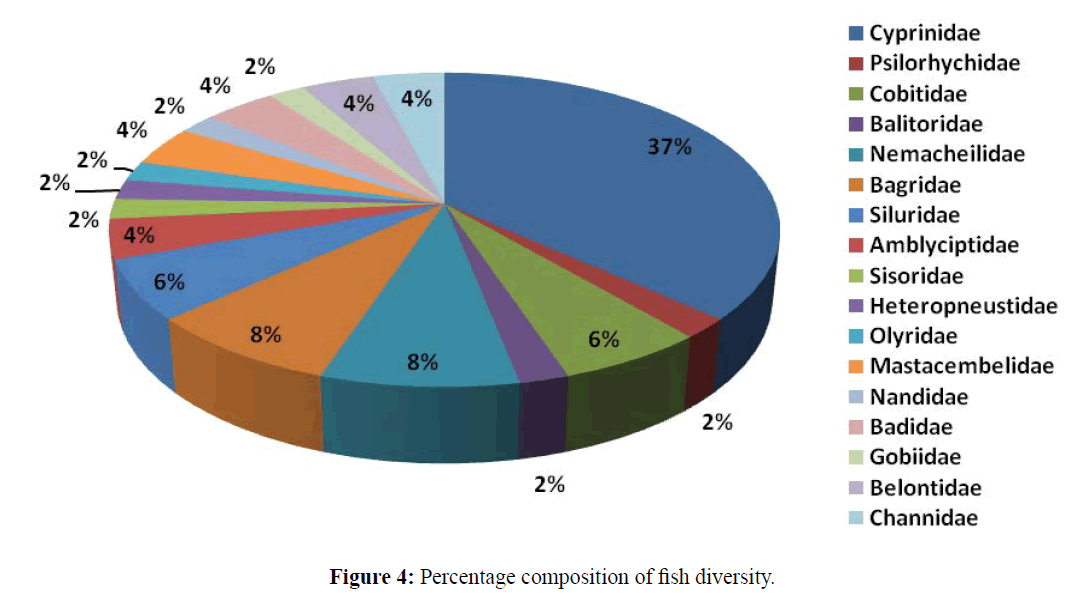 fisheriessciences-fish-diversity