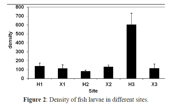 fisheriessciences-fish-larvae