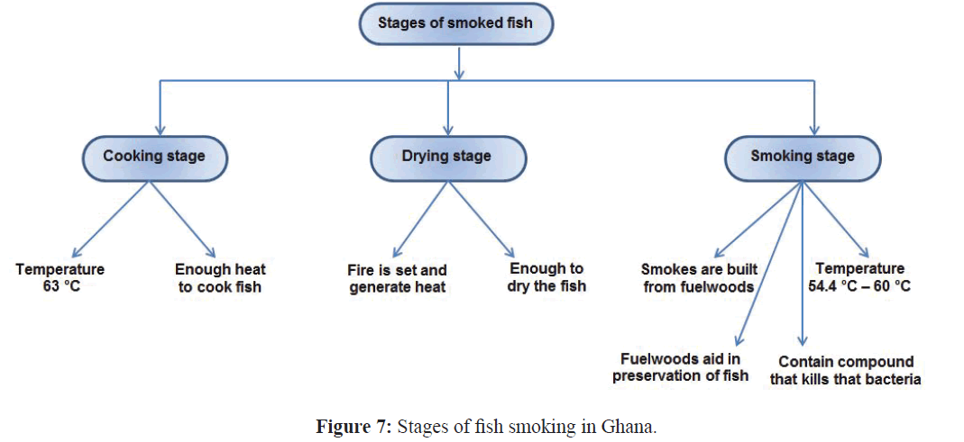 fisheriessciences-fish-smoking