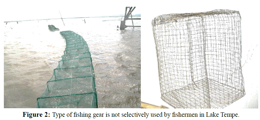 fisheriessciences-fishermen-Lake-Tempe