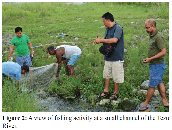 fisheriessciences-fishing-activity