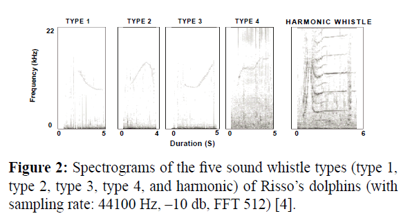 fisheriessciences-five-sound-whistle-types