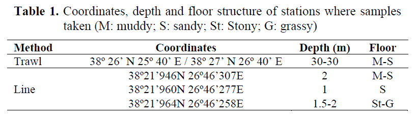 fisheriessciences-floor-structure