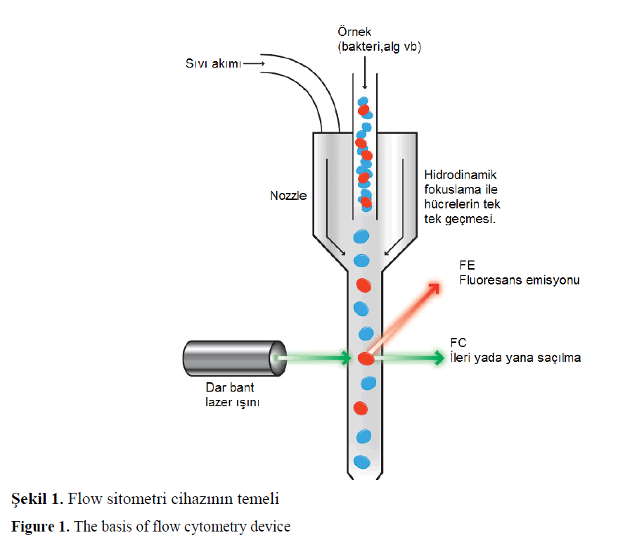 fisheriessciences-flow-cytometry