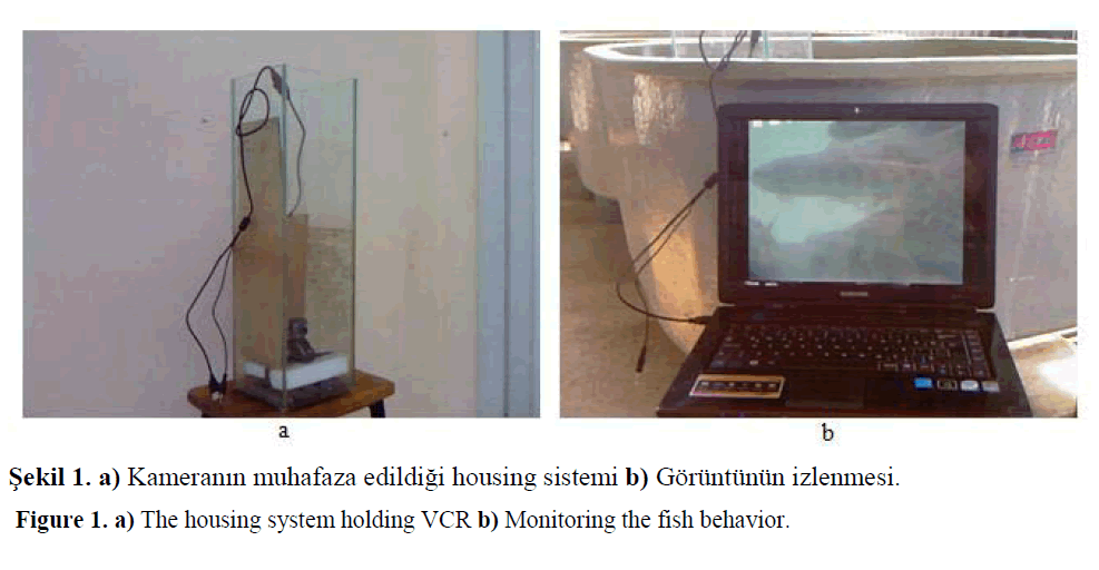 fisheriessciences-housing-system