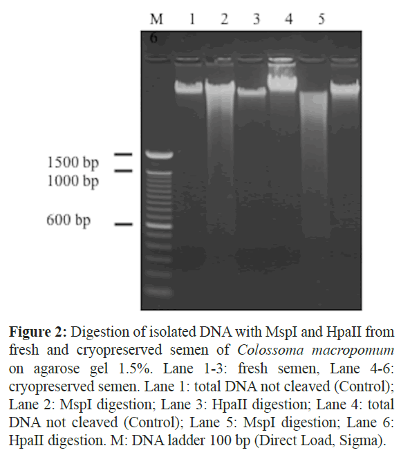 fisheriessciences-isolated-DNA