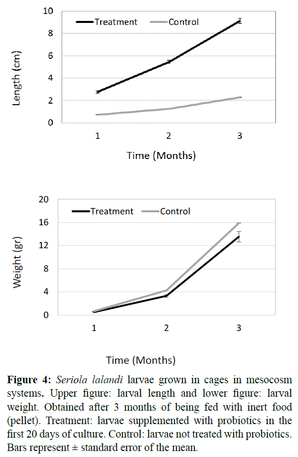 fisheriessciences-larvae-supplemented