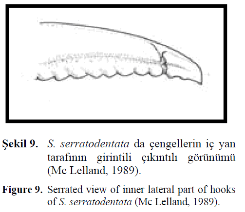 fisheriessciences-lateral-part