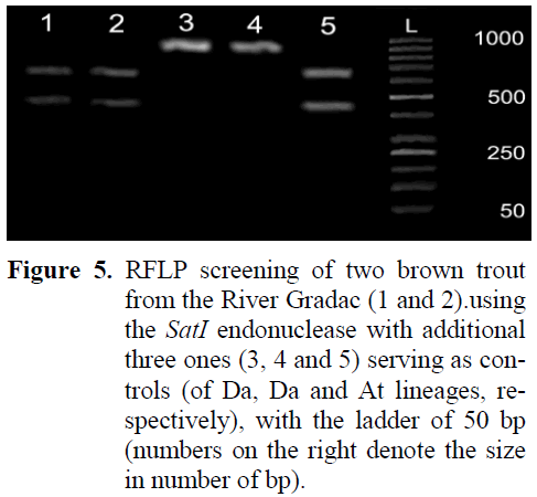 fisheriessciences-log-transformed