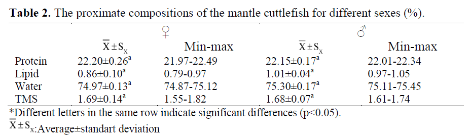 fisheriessciences-mantle-cuttlefish