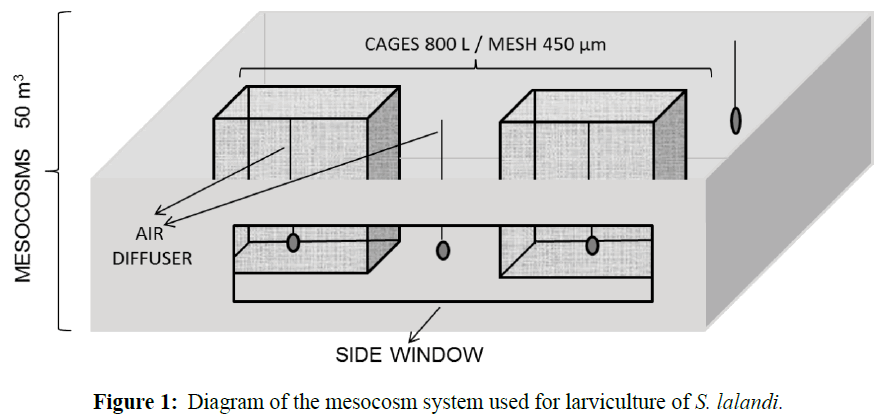 fisheriessciences-mesocosm-system