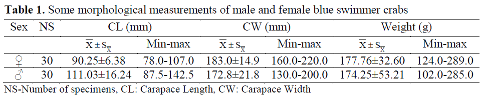 fisheriessciences-morphological-measurements