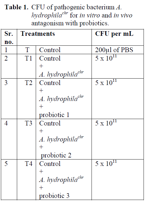 fisheriessciences-pathogenic-bacterium