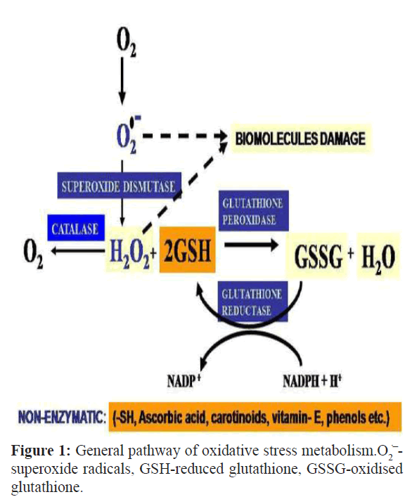 fisheriessciences-pathway-oxidative-stress