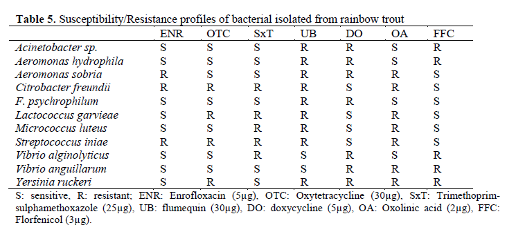 fisheriessciences-profiles-bacterial-isolated