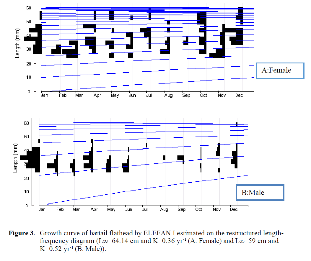 fisheriessciences-restructured-length