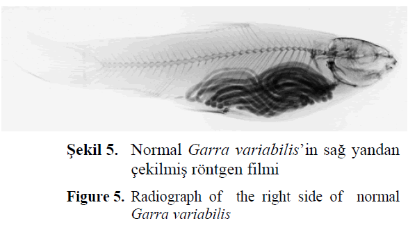 fisheriessciences-right-side