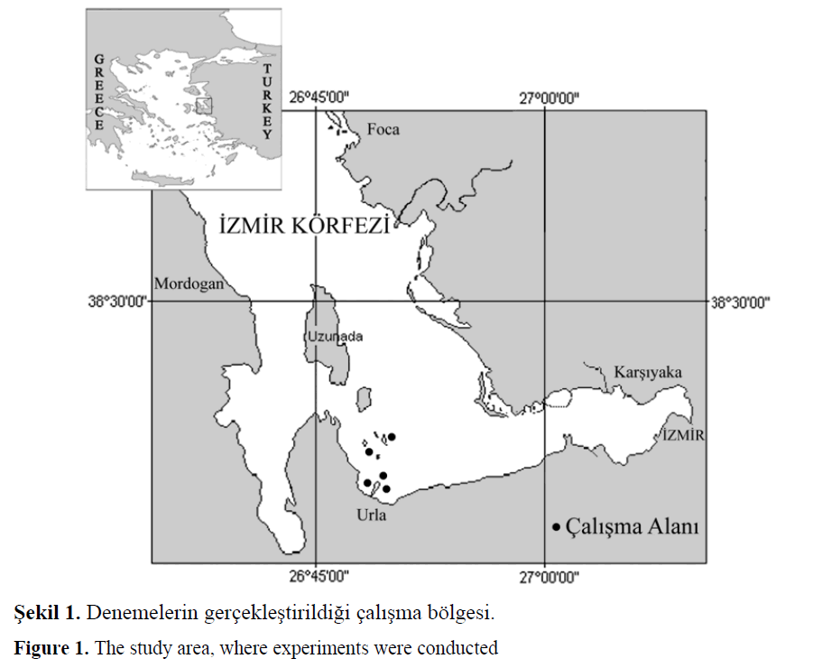 fisheriessciences-study-area-experiments