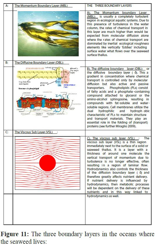 fisheriessciences-three-boundary-layers