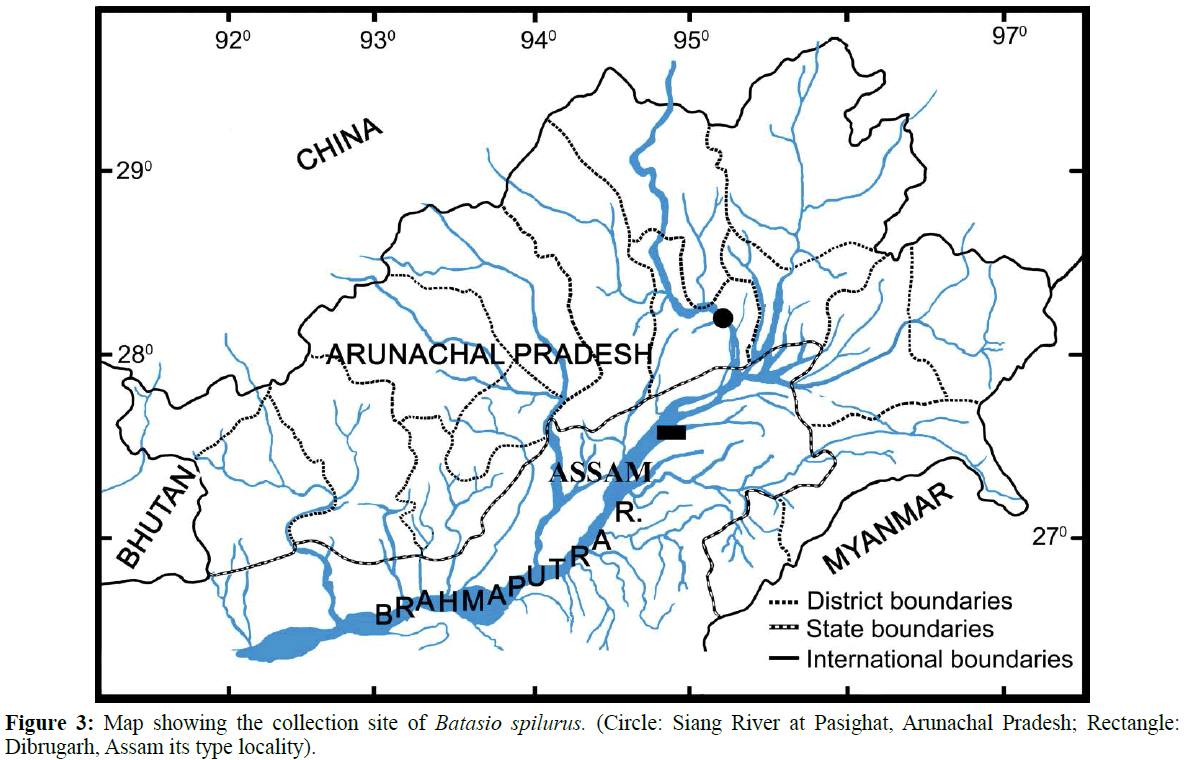 fisheriessciences-type-locality