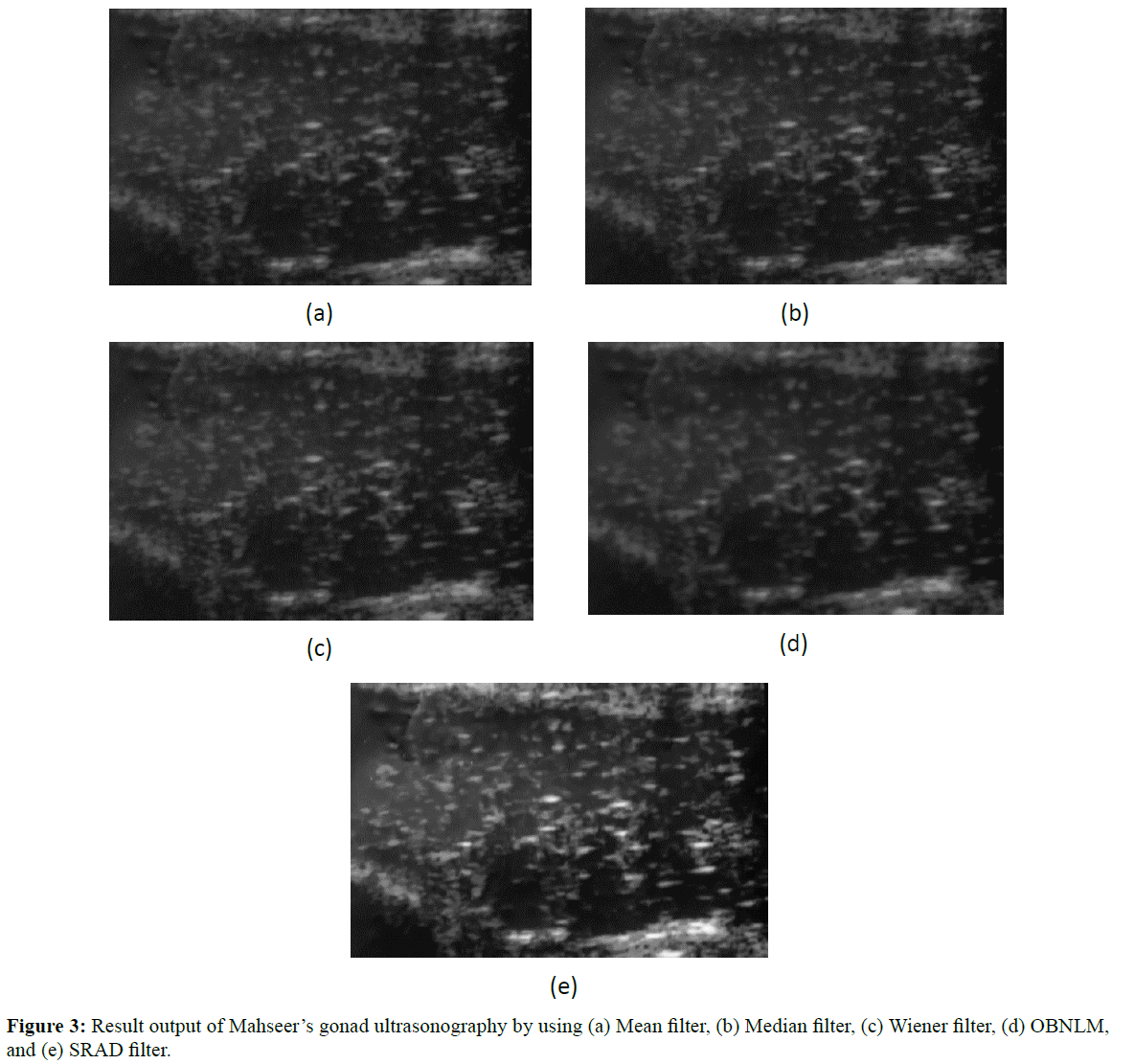 fisheriessciences-ultrasonography