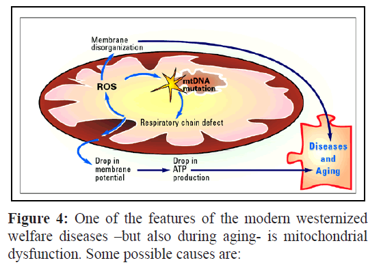 fisheriessciences-welfare-diseases