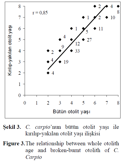 fisheriessciences-whole-otolith