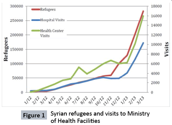 The Provision of Health Services in to Syrian