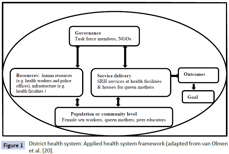 health-systems-policy-research-District-health-system