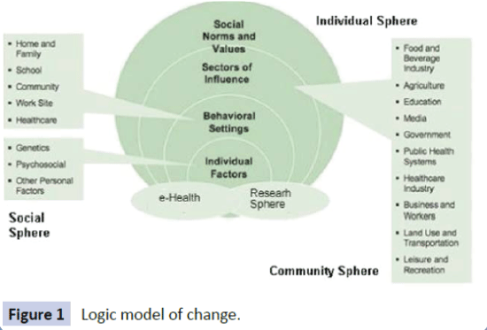 health-systems-policy-research-Logic-model