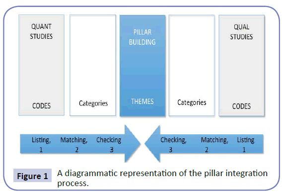 health-systems-policy-research-pillar-integration