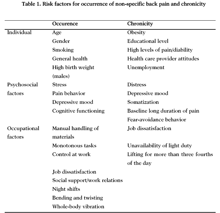 An overview of Low Back Pain  Causes, Risk Factors and Treatment