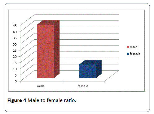 hsj-anatomy-female