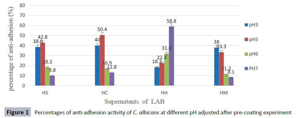 hsj-anti-adhesion-coating