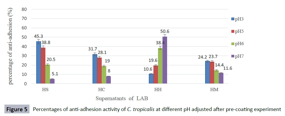 hsj-anti-adhesion-coating