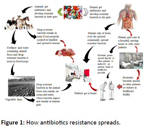 hsj-antibiotics-resistance-spreads