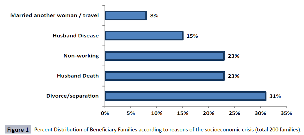 hsj-beneficiary-families-socioeconomic