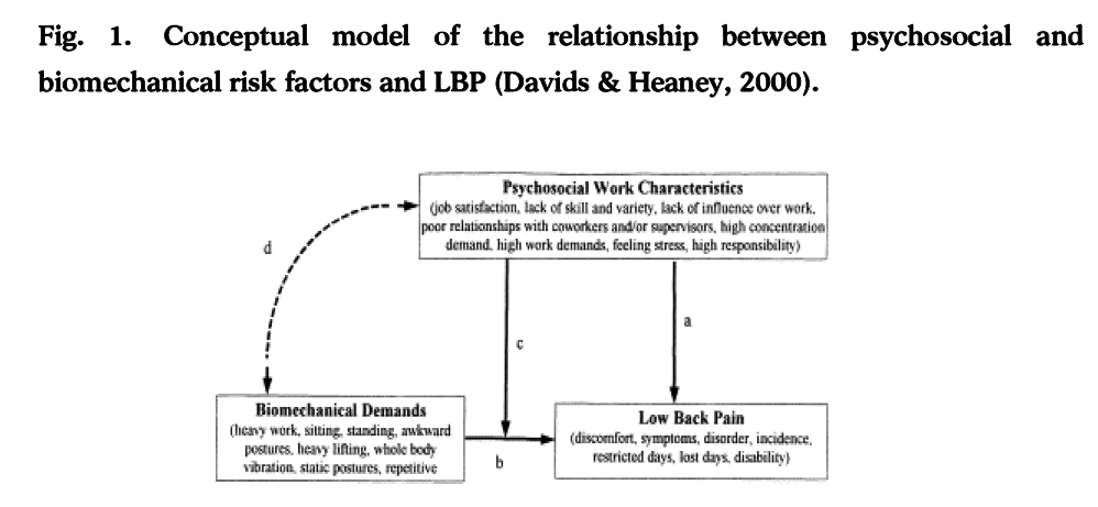 hsj-biomechanical-risk-factors