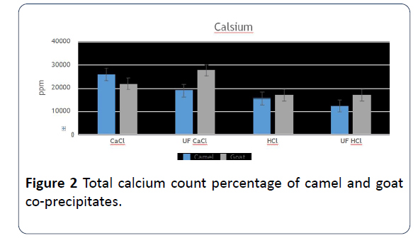 hsj-calcium-count