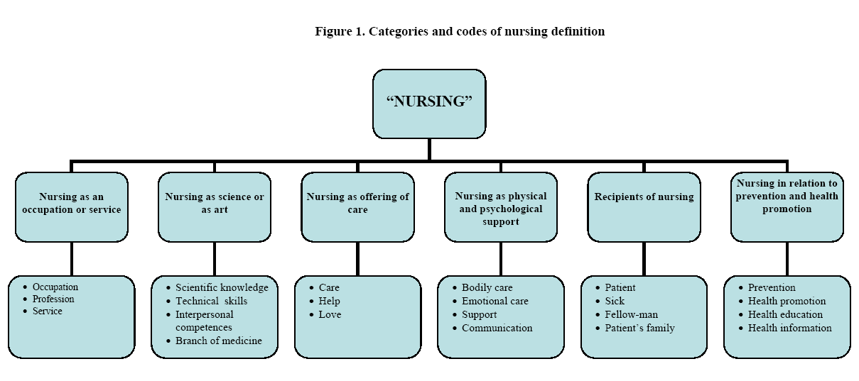 hsj-codes-nursing-definition