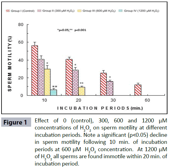 hsj-concentrations-sperm-motility