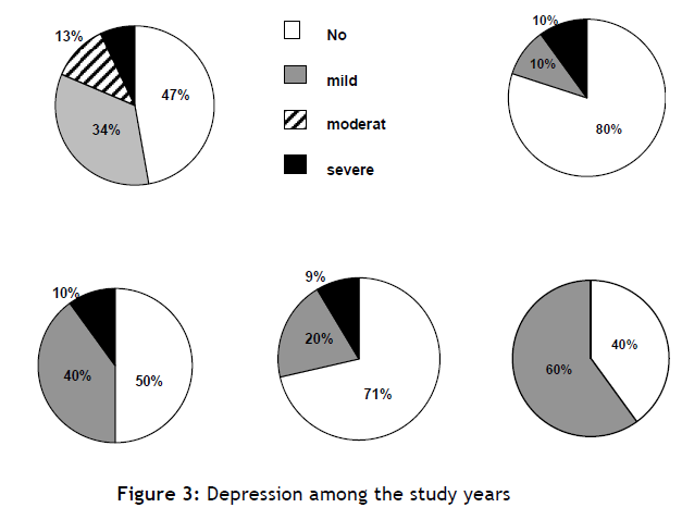 hsj-depression-study-years